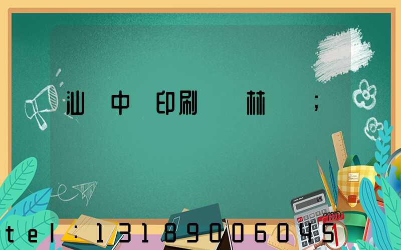 汕頭中興印刷廠 林偉國